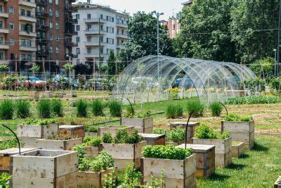 What Is Urban Agriculture: Learn About Benefits Of Urban Agriculture