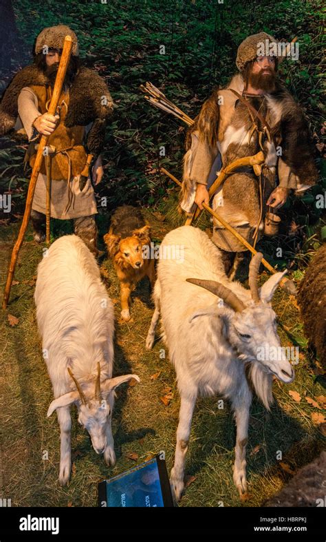 Pastoral people of corded ware culture, Stone Age, diorama, Carpathian ...