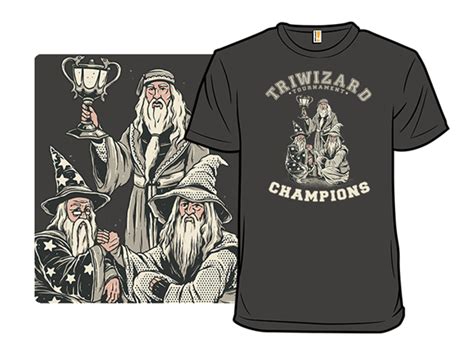 Triwizard Tournament Champs