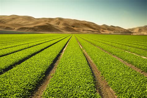 Farmland could be the next big asset class modernized by marketplace ...