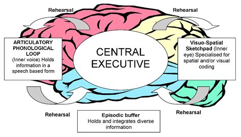 8.1 How Memory Functions – Introductory Psychology