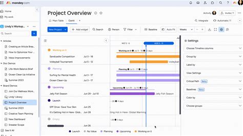 The Gantt Chart View and Widget – Support