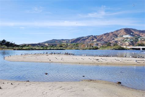 How to Spend a Day at the Malibu Lagoon | Rockwell Kitchen