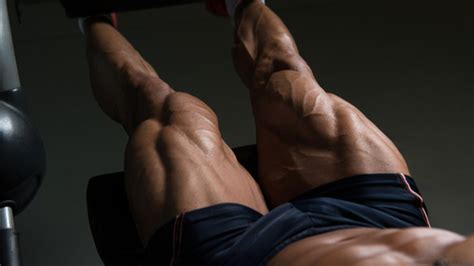 The 5 Best Quad Workouts for Forging Bigger and More Explosive Legs | BarBend