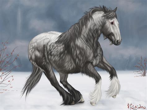 Gypsy Cob in Winter Coat by Magidaa on DeviantArt