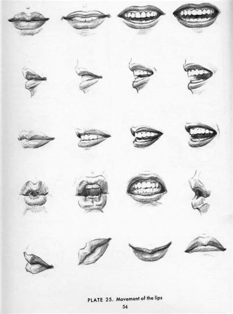 Drawing The Head And Hands - Andrew Loomis | Drawing people, Mouth drawing, Lips drawing