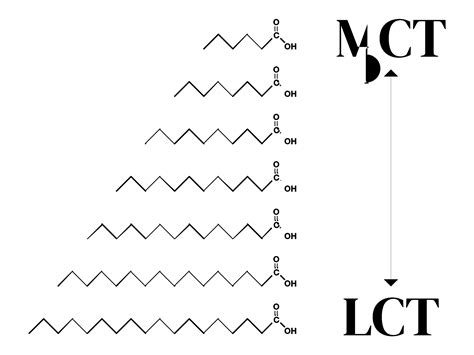 MCTs in CBD Products - INOLEX