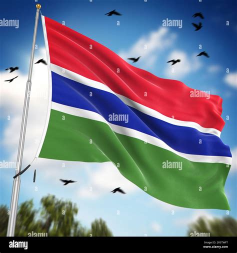 Flag of the Gambia Stock Photo - Alamy