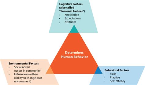 Bandura Social Learning Theory : Learning Theories - The Theory Into ...