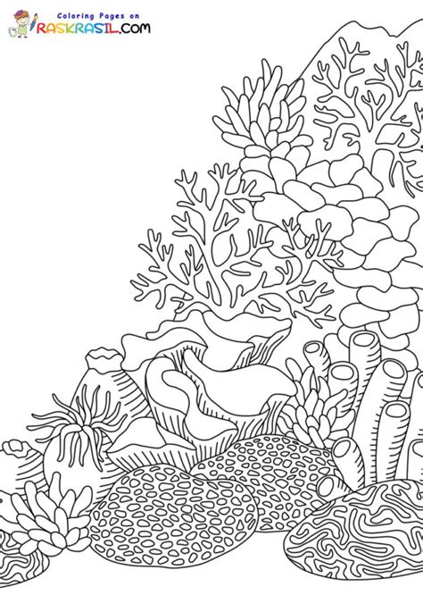 Coral Reef Coloring Page Exploring Nature Educational - vrogue.co