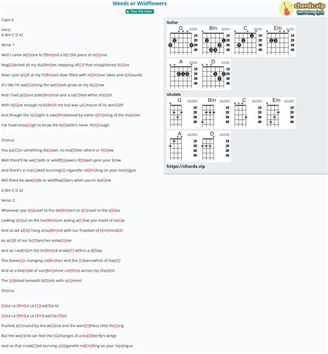 Wildflowers Guitar Chords