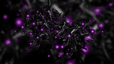 [100+] Black And Purple Wallpapers | Wallpapers.com