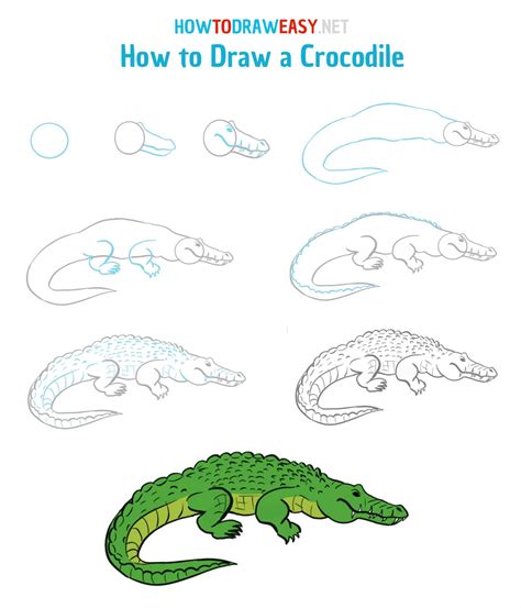 How To Draw A Crocodile 2 Easy And Slowly Step By Step For Kids | Images and Photos finder