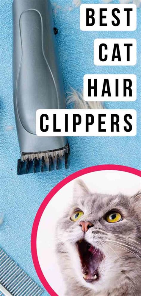 Best Cat Hair Clippers - Top Tools For Grooming And Removing Matted Fur