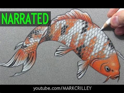 How to Draw a Fish ("Koi"): Narrated Step-by-Step - YouTube