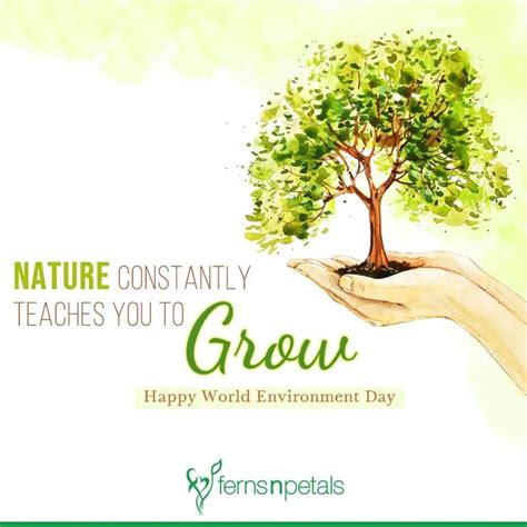 80+ World Environment Day Wishes: Quotes & Images - FNP | World environment day, Environment day ...