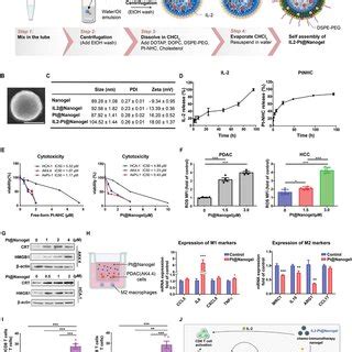 A Chemoimmunotherapy Nanogel Enables Efficient Delivery of Interleukin‐2 and Induction of ...