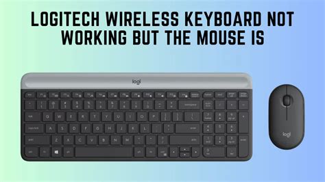 [Fixed] Logitech Wireless Keyboard Not Working But The Mouse Is