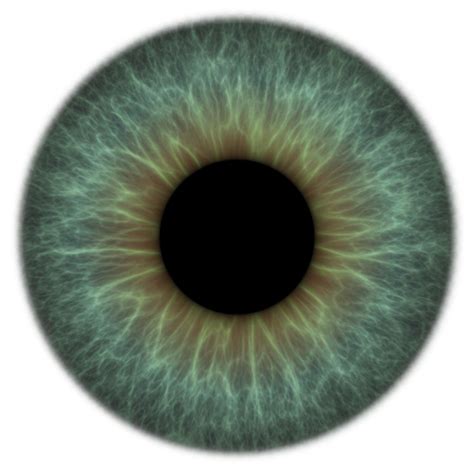 iris texture, png at 150ppi on transparent | Eye drawing, Eyes wallpaper, Eye texture