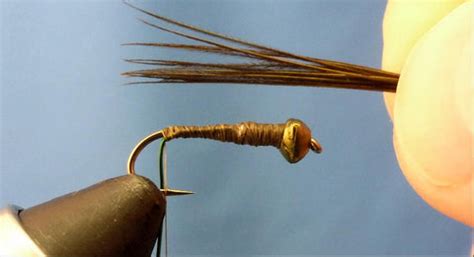 Evolution Mayfly Pheasant Tail - Fly tying instructions - Flymen Fishing Company