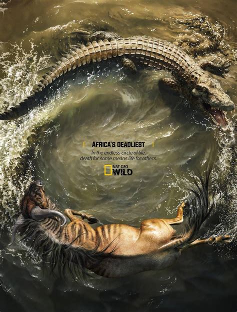 Nat Geo Wild - Africa’s Deadliest / peopleofdesign