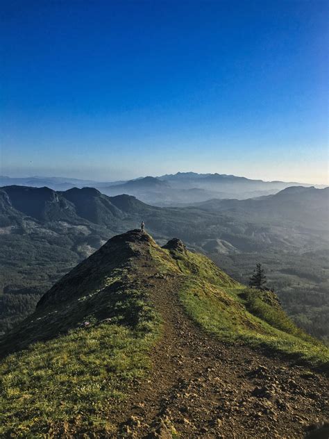 [OC] Saddle Mountain Trail, Saddle Mountain, Oregon Coast Range, Oregon ...