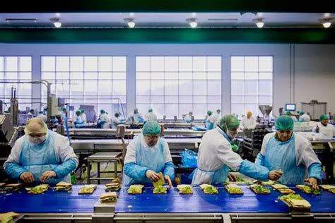 The sandwich factory where workers make three million sarnies a week ...