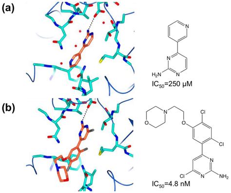 IJMS | Special Issue : Protein Crystallography in Molecular Biology