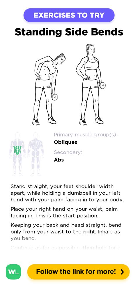 Standing Dumbbell / Kettlebell Side Bends – WorkoutLabs Exercise Guide