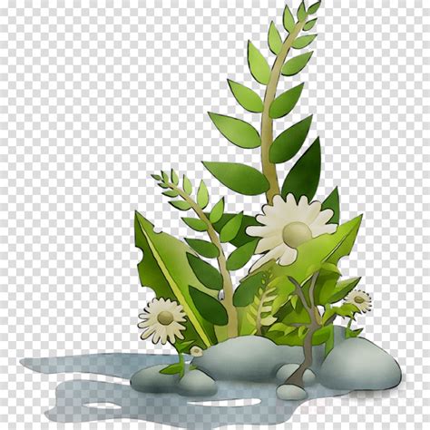 Free Arctic Flower Cliparts, Download Free Arctic Flower Cliparts png ...