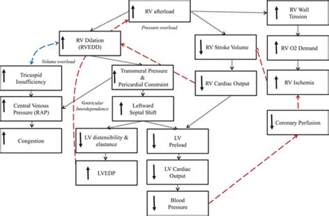 Congestive Heart Failure Concept Map - Map Of Western Hemisphere