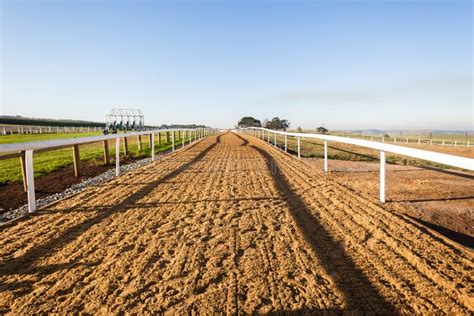 Horse Racing Sand Tracks stock photo. Image of grass - 40408316