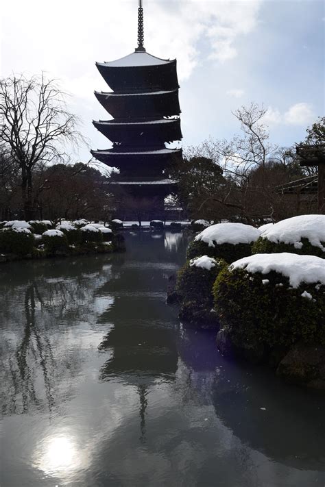 Toji Temple, Kyoto -- Taken by Gabor Fabricius | The Japan Times Weekend Scene