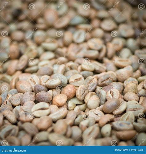 Green Unroasted Coffee Beans Stock Image - Image of industry, arabic ...