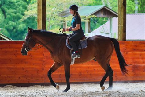 Summer Camp Horseback Riding Video | Rockbrook Summer Camp