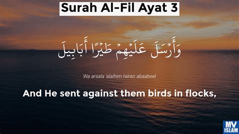 Surah Fil Ayat 3 (105:3 Quran) With Tafsir - My Islam