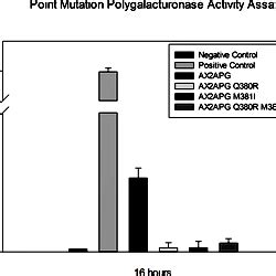 2-cyanoacetamide reducing sugar assay measuring the increase in reducing ends produced via ...