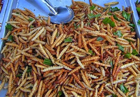 Eating bugs: A traveler's guide | CNN