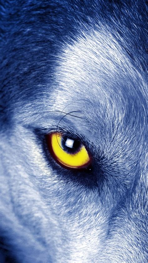 Cool Wolves iPhone Wallpapers - Wallpaper Cave