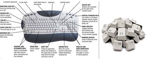 How Many Type of Keys on a Keyboard?