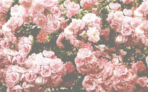 Aesthetic Floral Desktop Wallpapers - Wallpaper Cave