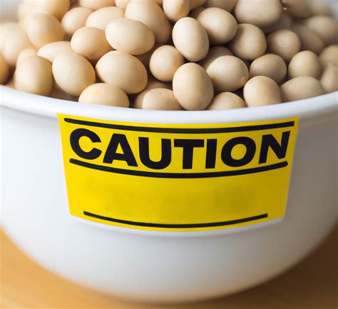 Avoid Soybeans in Your Diet - The Science of Our Metabolism