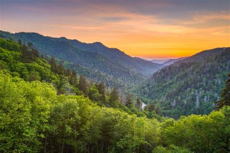 Newfound Gap Smoky Mountains Stock Photo - Image of ravine, outdoors ...