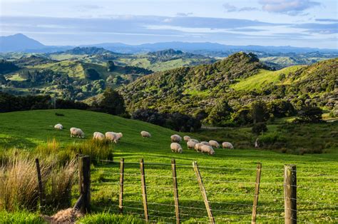 Gisborne Wine Region, New Zealand | Winetourism