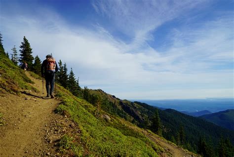 Pacific Northwest Seasons: Hiking the Olympic Peninsula: Panoramic Mt. Townsend