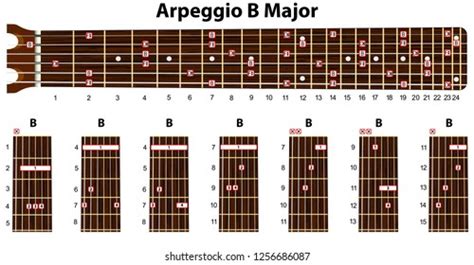 Arpeggios Minor Set Vector Guitar Chords Stock Vector (Royalty Free ...