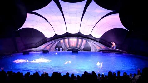"Dolphin Show" Georgia Aquarium - YouTube