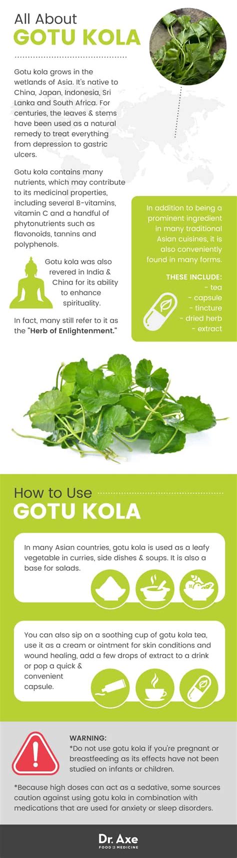 Gotu Kola May Help Boost Your Memory & Mood + Other Benefits - Dr. Axe in 2020 | Herbalism, Gotu ...