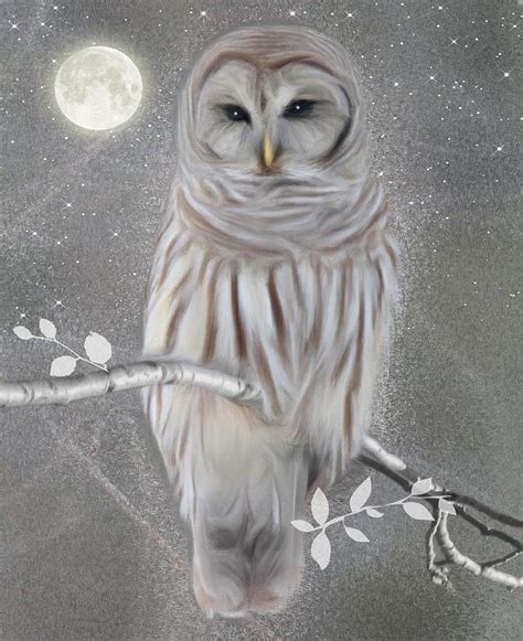 Winter Owl Digital Art by Nina Bradica