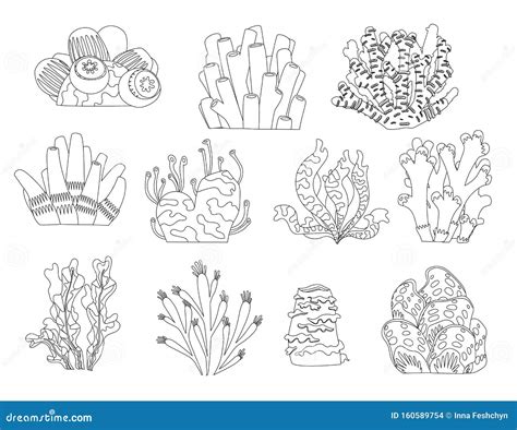 29 best ideas for coloring | Underwater Plants Coloring Pages